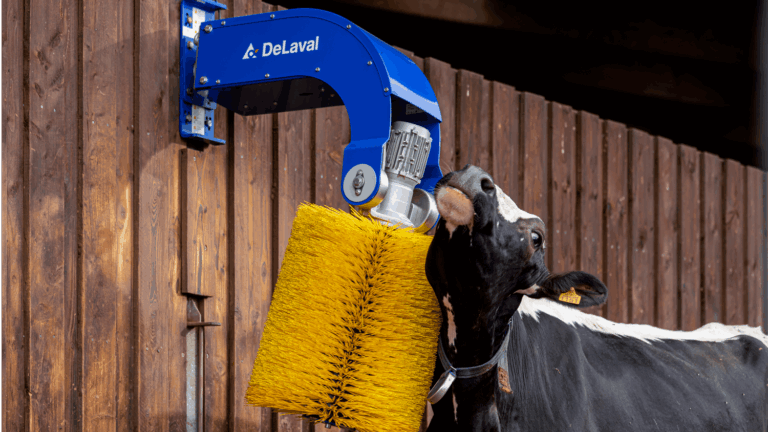 DeLaval Schwingende Kuhbürste SCB