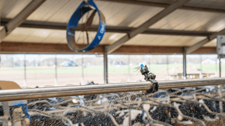 DeLaval Cow Cooling System