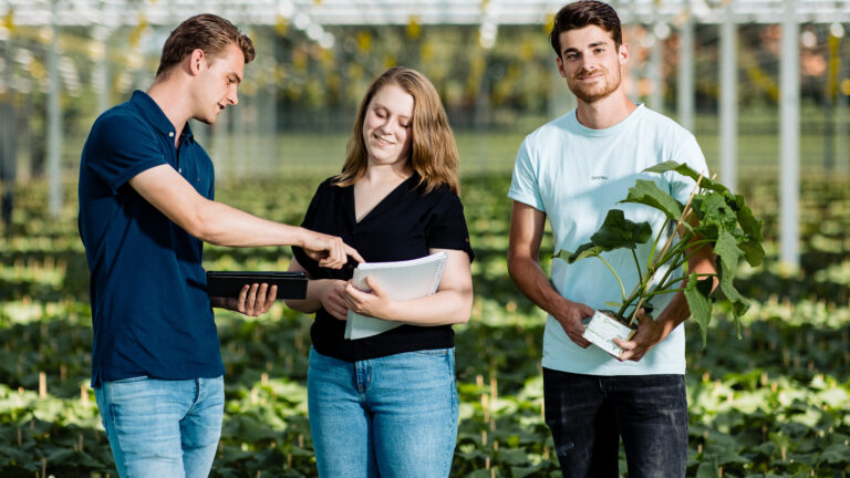 HBO Bedrijfskunde & agribusiness