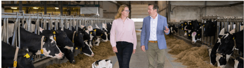 Schipper Accountants