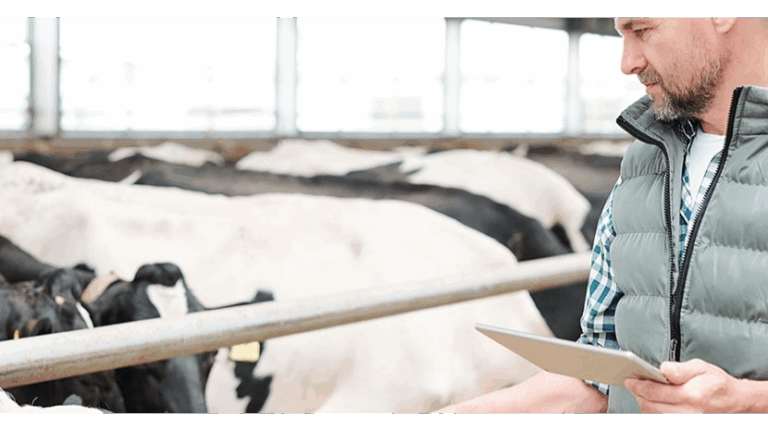 Inspiratiesessie stikstof in de landbouw