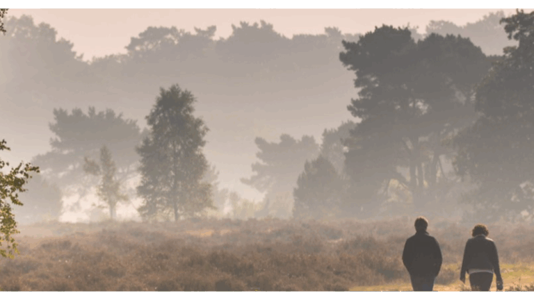 Cursus natuurinclusief ondernemen in de landbouw