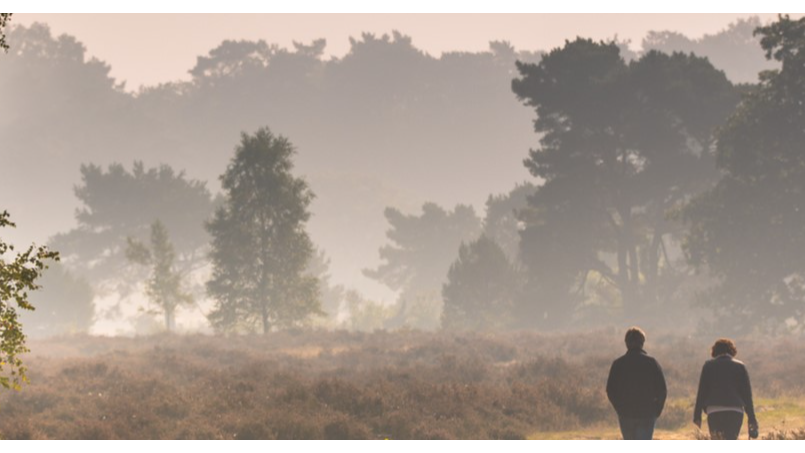 Cursus natuurinclusief ondernemen in de landbouw