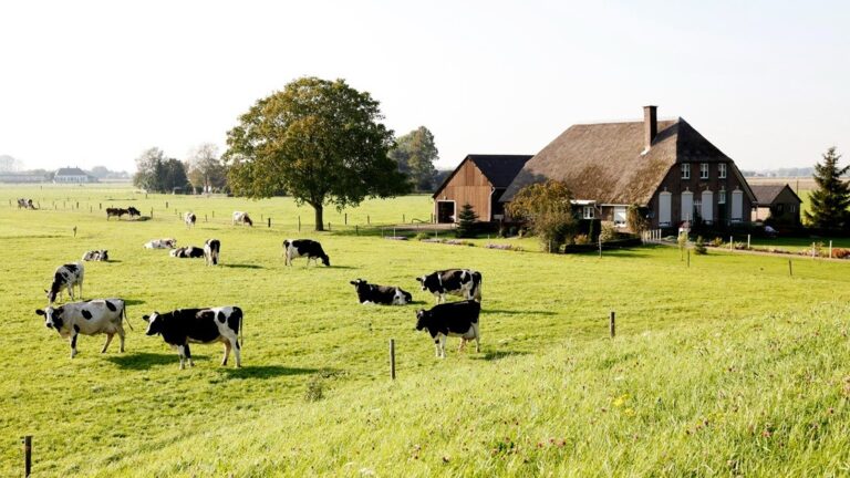 Taxatie/Makelaardij – Herwaardering landbouwvrijstelling en balanswaarde