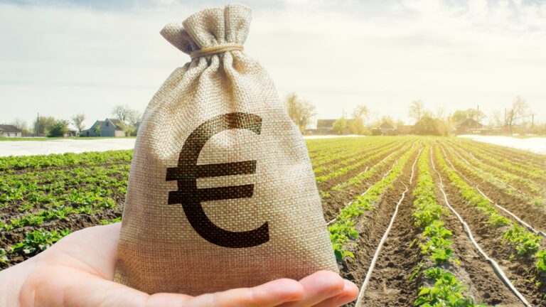 Taxatie/Makelaardij – Balanstaxatie beleggers