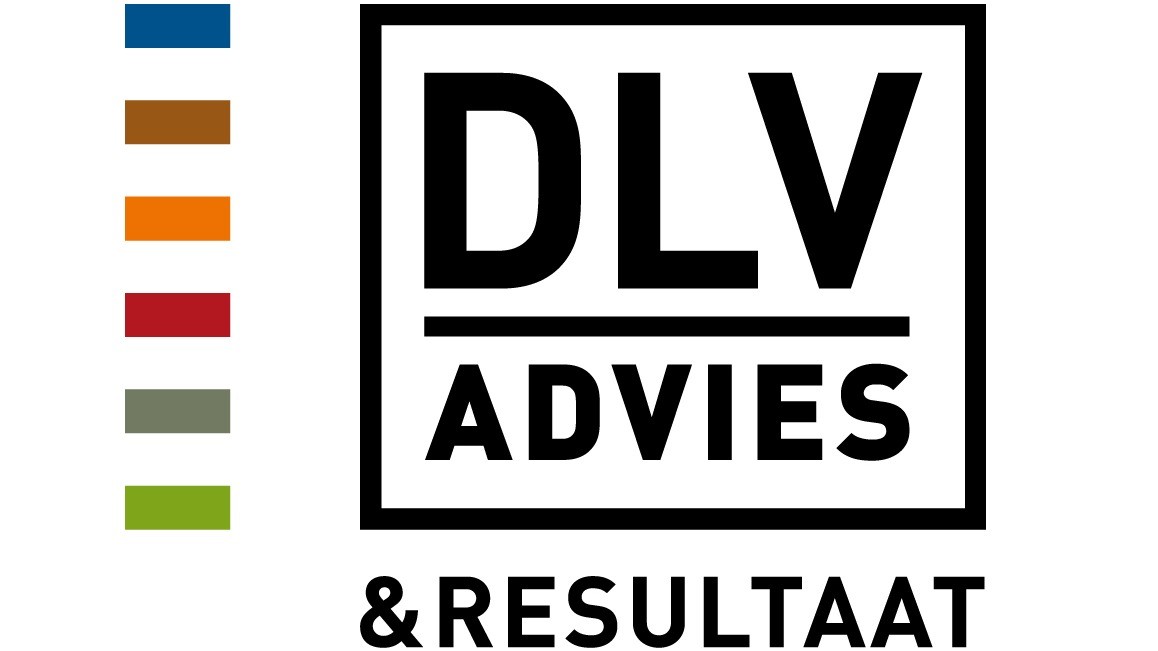 DLV Advies