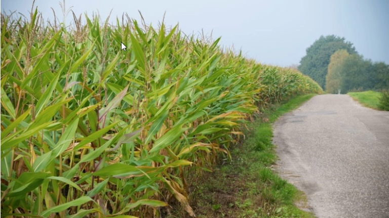 Pas op met grondconstructies voor mest en/of subsidies