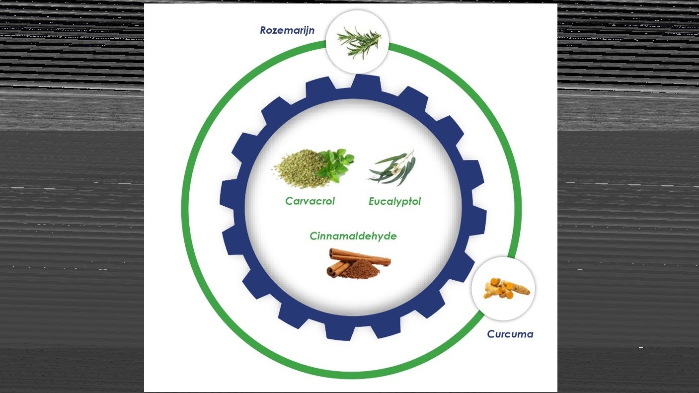 Nieuw: VITO Premium perstouw – sterker, zachter en efficiënter