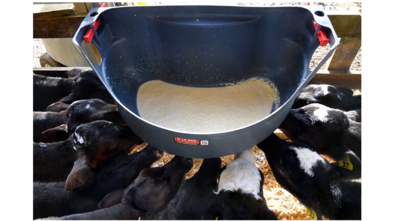 Milk Bar™ Tränkesysteme