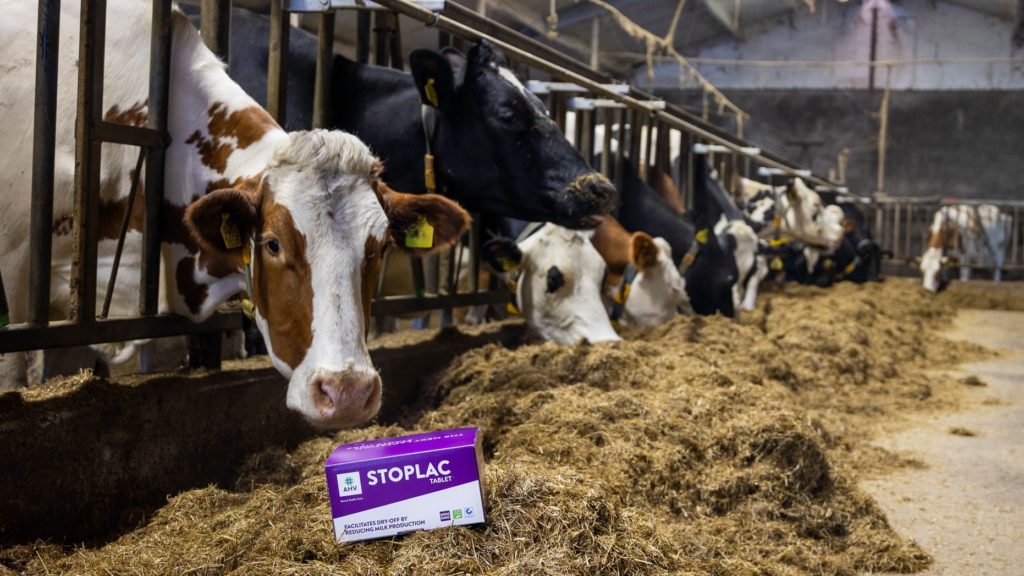 AHV StopLac Tablet: Die Zukunft des Trockenstellens