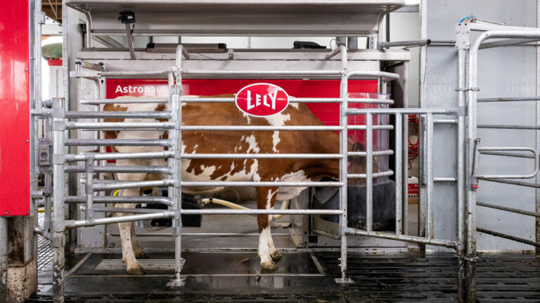 Lely Astronaut A5 Next