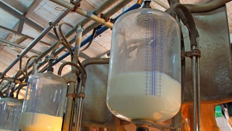 Zuivelsector helpt melkveehouders vooruit