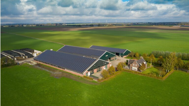 Ga je zonnepanelen leggen op je agrarische bedrijf?