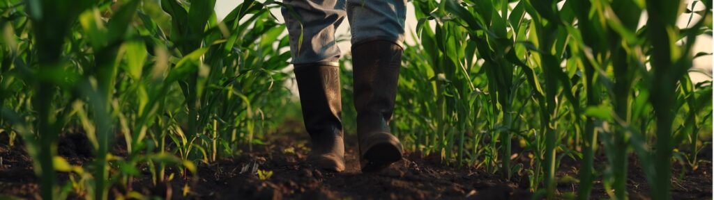 Prosu Media Producties BV