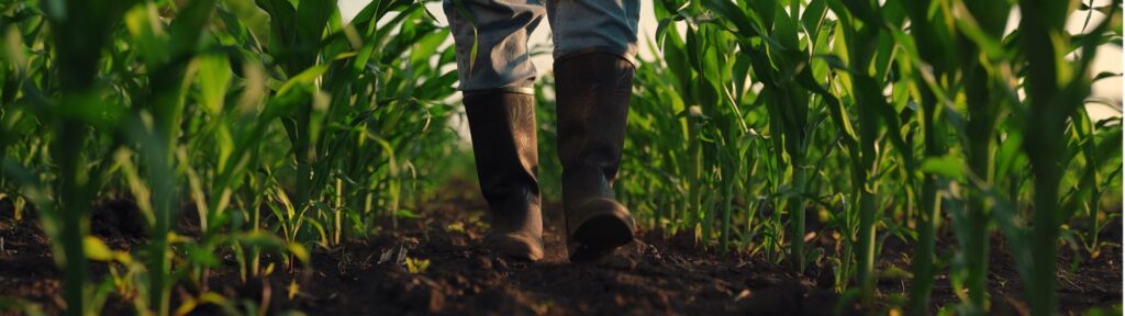 Prosu Media Producties BV