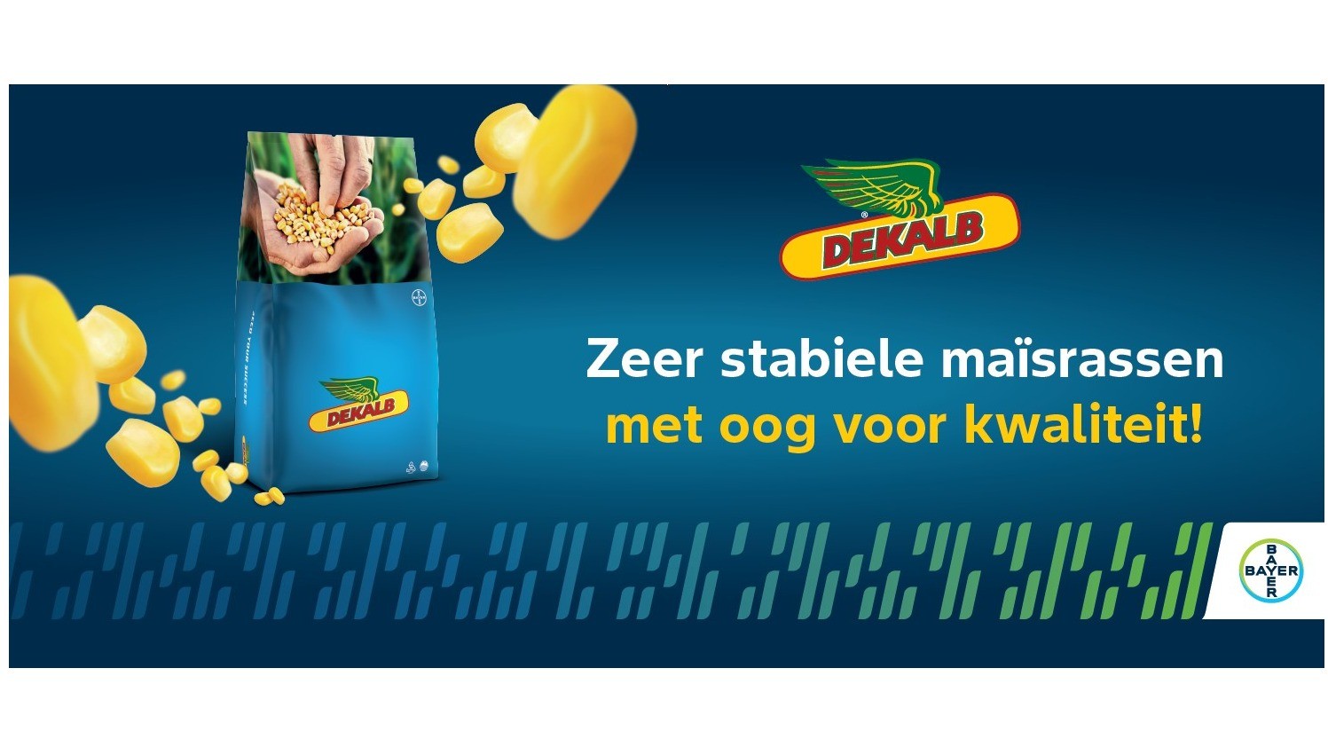 Ontdek het verschil met DEKALB®