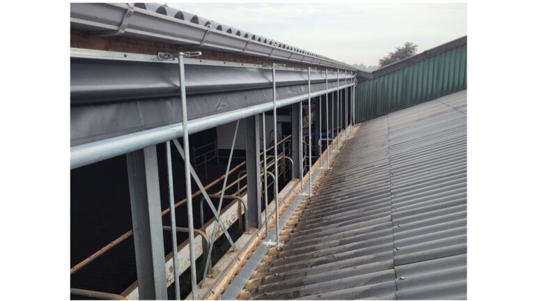 Meeveestal beschermen tegen kou en vorst met Rollofront