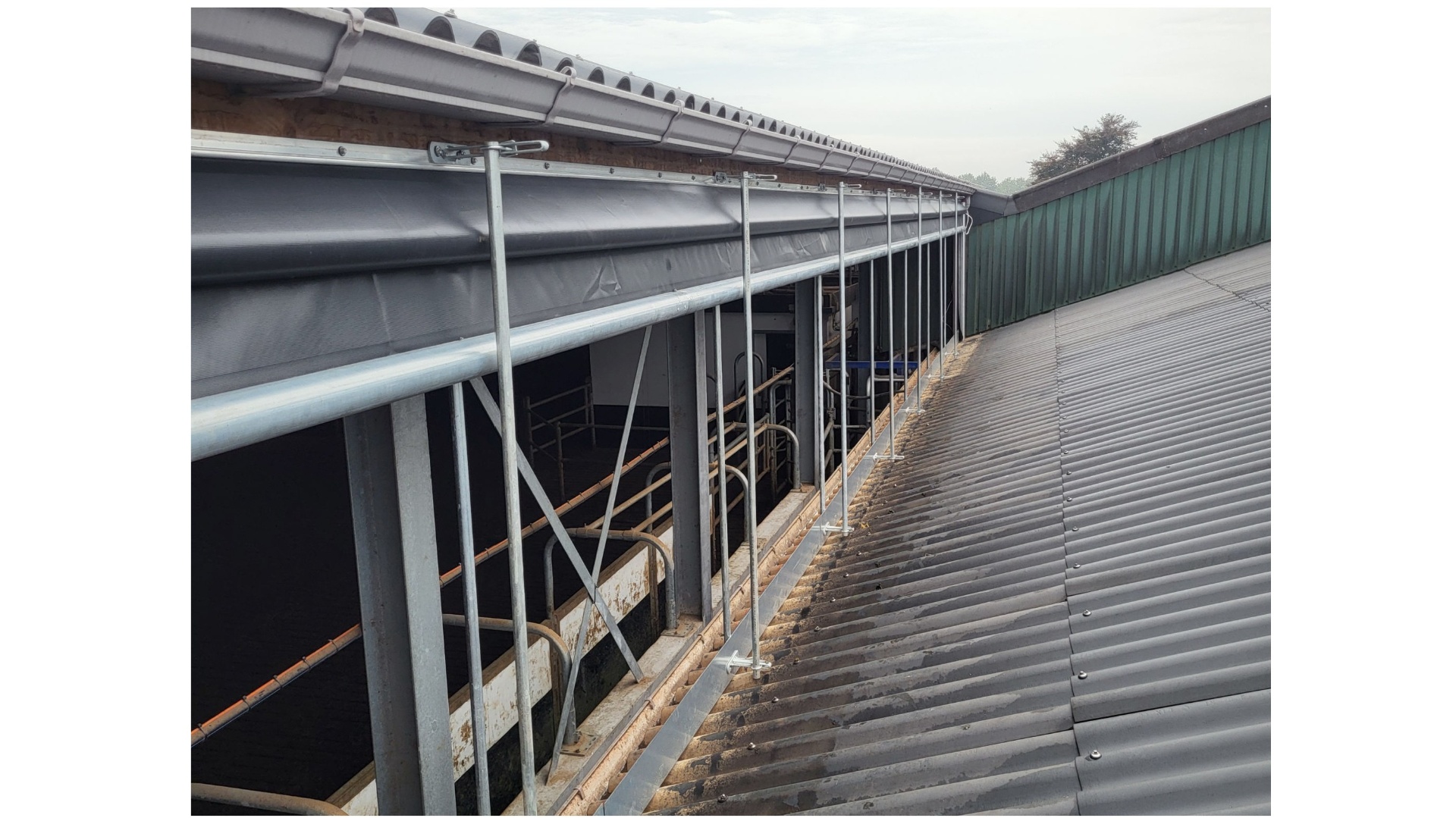 Meeveestal beschermen tegen kou en vorst met Rollofront