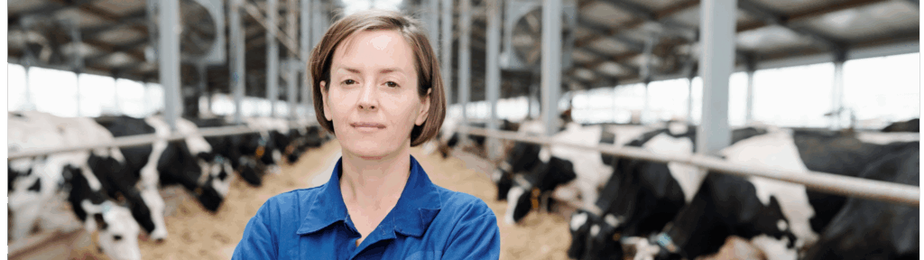 Flynth adviseurs en accountants