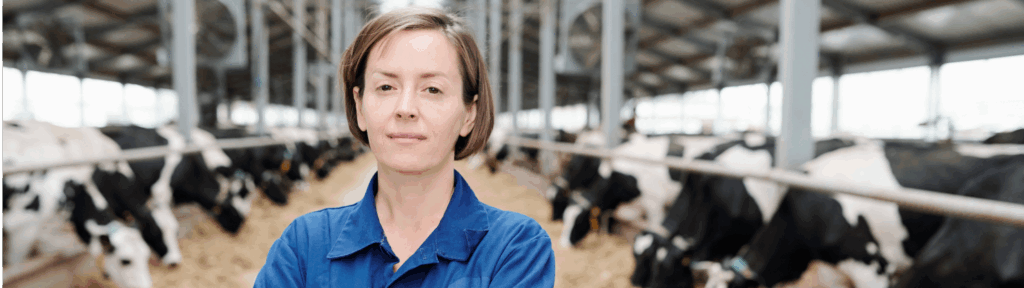 Flynth adviseurs en accountants