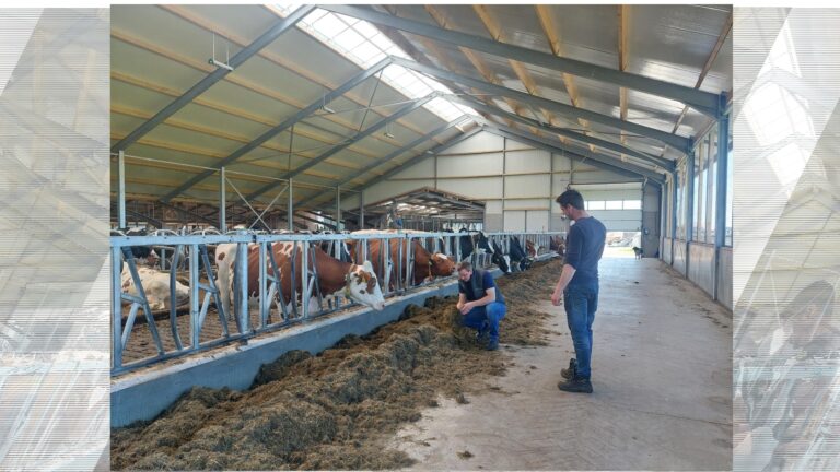 Focus op koewelzijn en efficiëntie