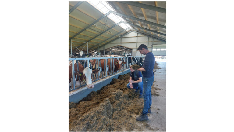 Fokus auf Kuhwohl und Effizienz