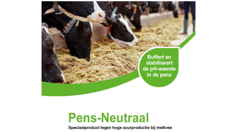 Spezialprodukt gegen hohe Säureproduktion bei Milchvieh