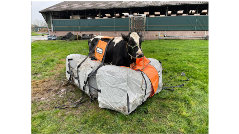 Air-Cow Opblaasbaar koehijskussen | 2,7 x 1,6 x 1 mtr | 40kg