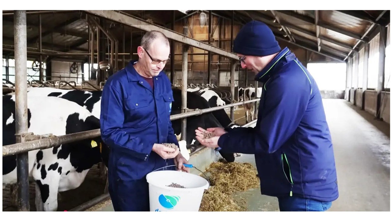 Familie Franken begeistert von neuem Cholinfutter für Milchkühe