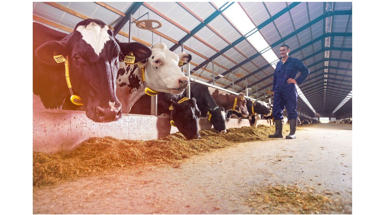 Global Account Manager – Milking & Cow Monitoring – Nedap