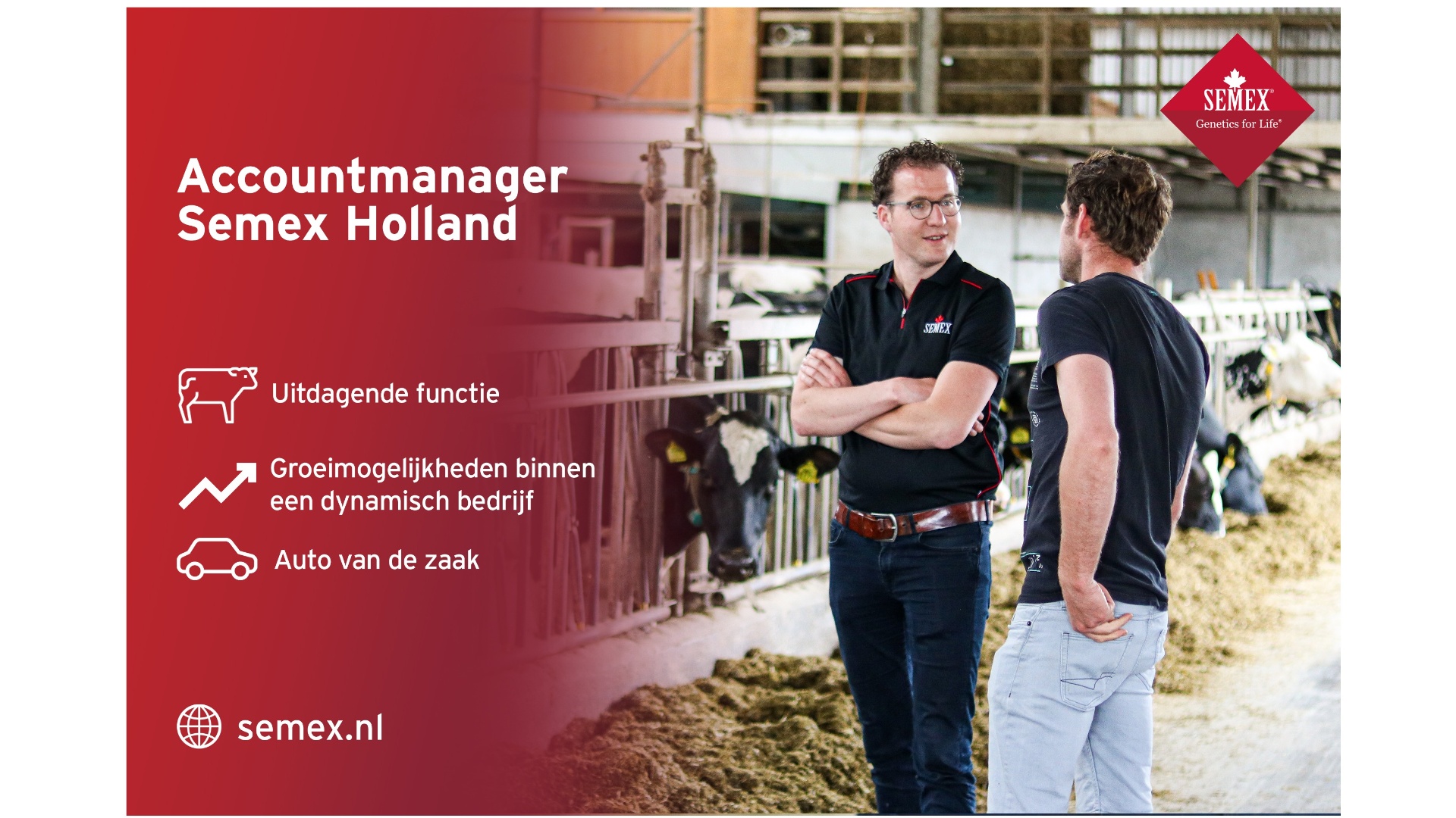 Accountmanager Nederland