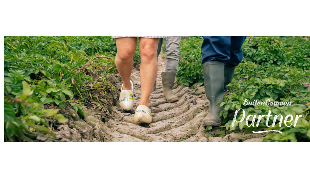 Ontwerp- en bouwadvies