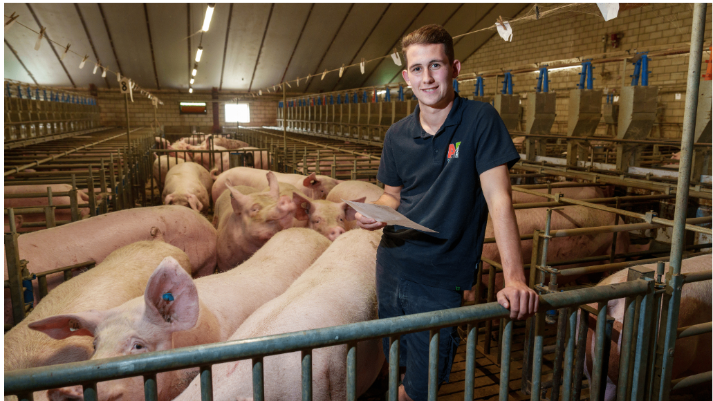 Bedrijfsverzorger Varkenshouderij