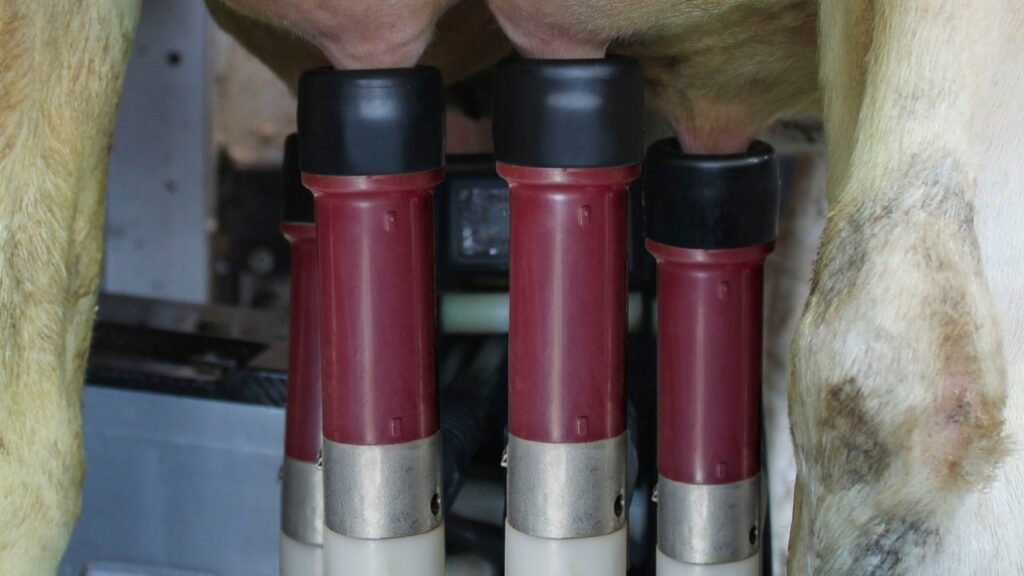 ProSquare tepelvoeringen