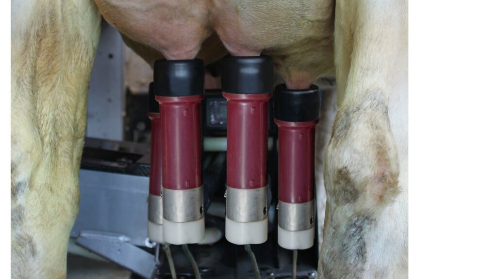 ProSquare tepelvoeringen