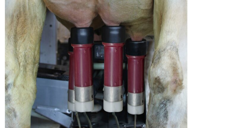 ProSquare tepelvoeringen