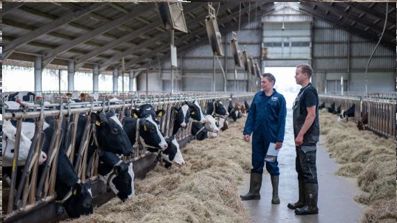 Fokkerijadviseur / accountmanager