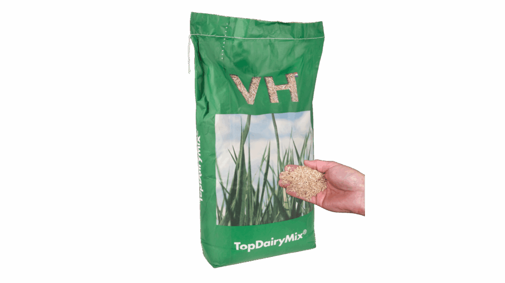 Originele High Sugar gras met GoldStart