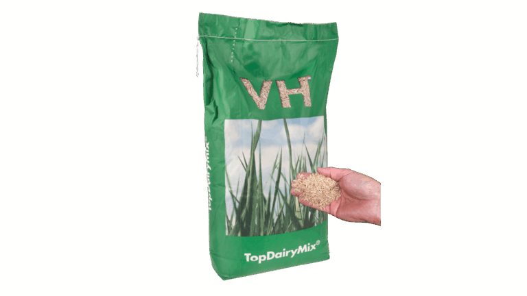 Originele High Sugar gras met GoldStart