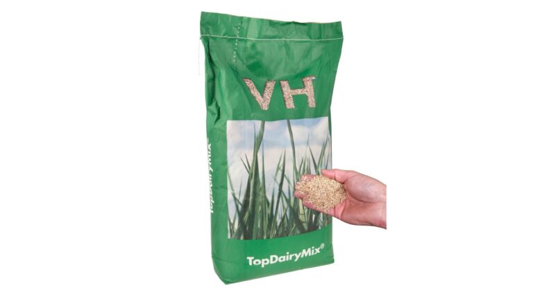 Originele High Sugar gras met GoldStart – voor een sterke start én krachtig grasland