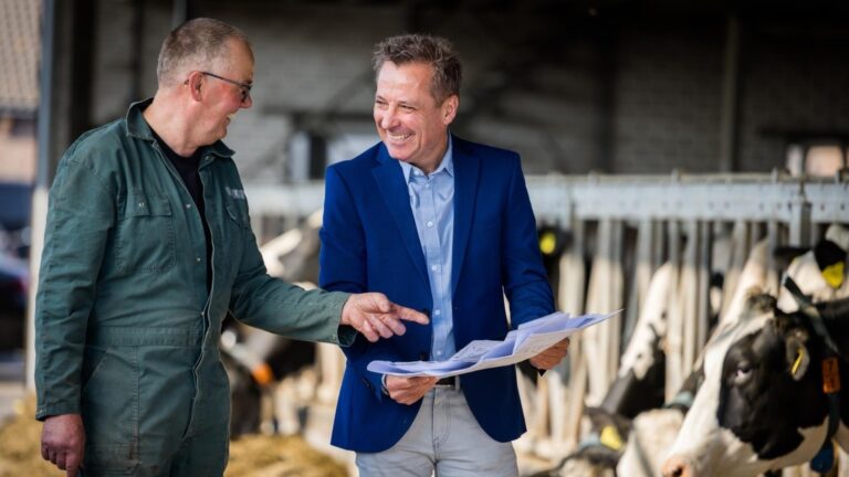 Ruimtelijke ordening