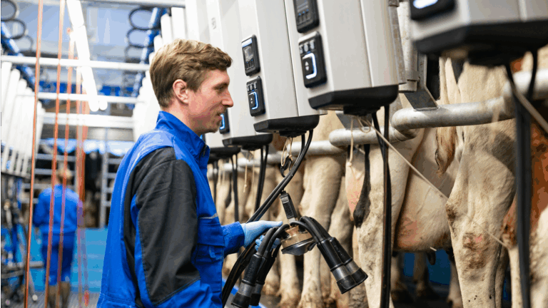 DeLaval bringt das Melken mit der neuen Melkstandautomatisierung auf die nächste Ebene
