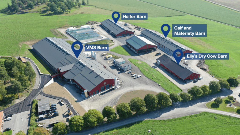 Die Erweiterung der Hamra Farm läutet eine neue Ära der Innovation bei DeLaval ein