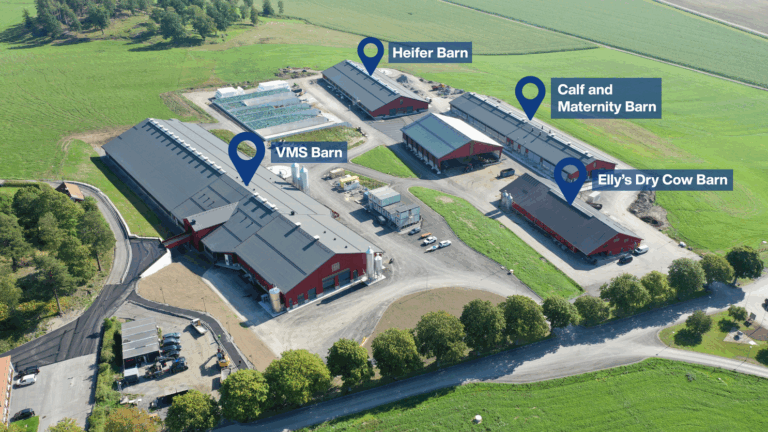 Die Erweiterung der Hamra Farm läutet eine neue Ära der Innovation bei DeLaval ein