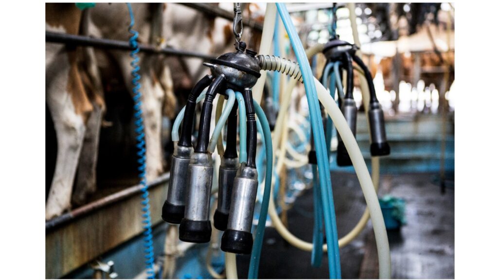 Duurzaamheidsrapportage