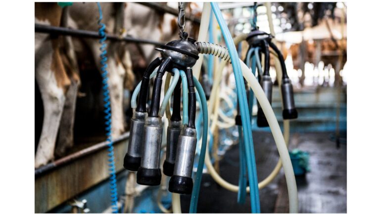 Duurzaamheidsrapportage