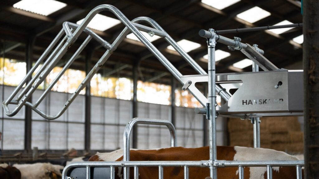 Neu im Jahr 2025: L’Port Electric