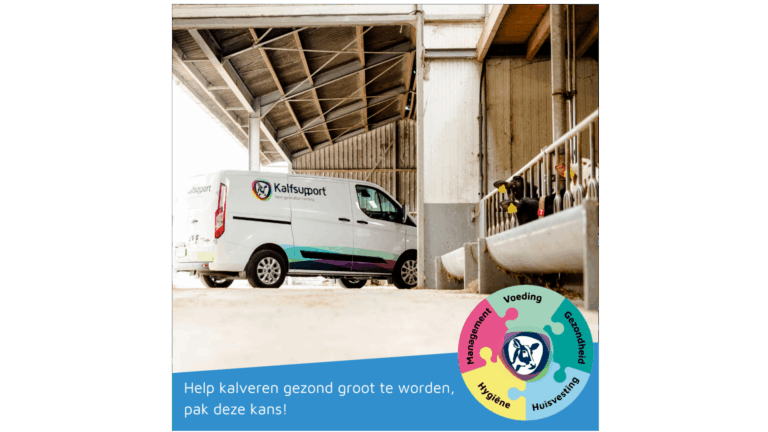 Kalveropfokspecialist regio Friesland