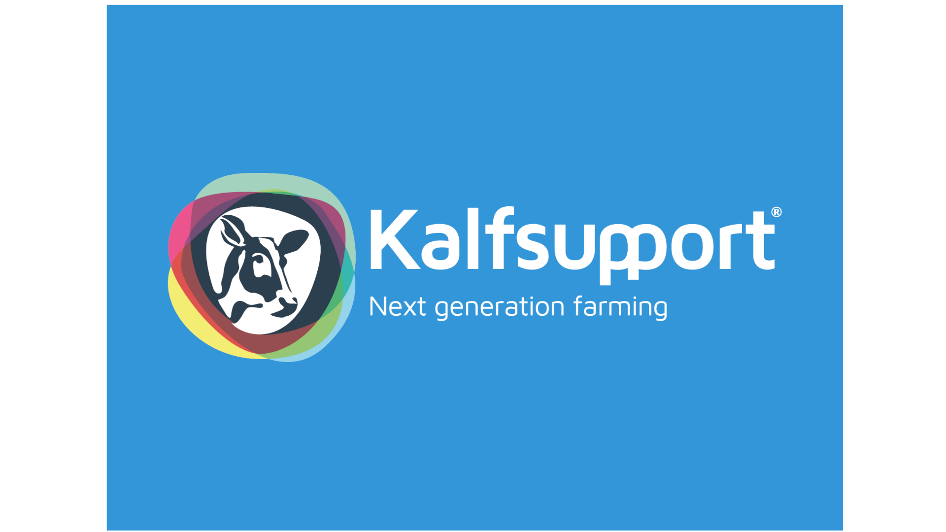 Entdecken Sie unsere neuesten Erkenntnisse zur stressfreien Kälberaufzucht beim RMV Hardenberg!