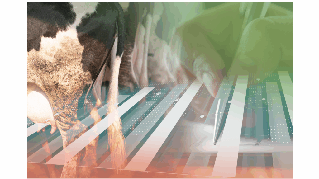 Academy training monomestvergisting & groen gas